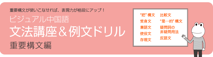 ビジュアル中国語・文法講座＆例文ドリル　(4)重要構文編