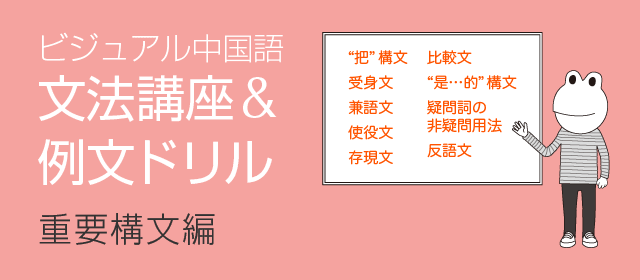 ビジュアル中国語・文法講座＆例文ドリル　(4)重要構文編